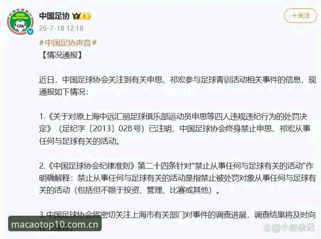 澳门十大娱乐场 中国足协第三批禁足名单深度分析:17人终身禁足、48人限业与澳门十大娱乐场资讯视角